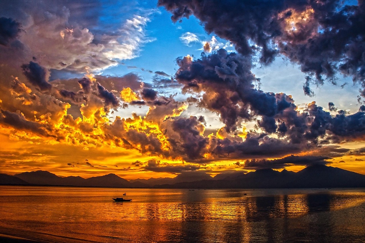 팔뚝지방